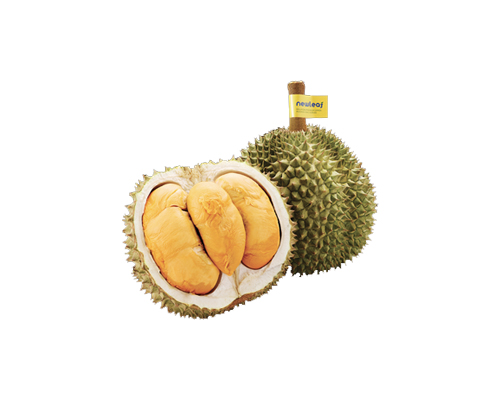 Black Thorn Treasure