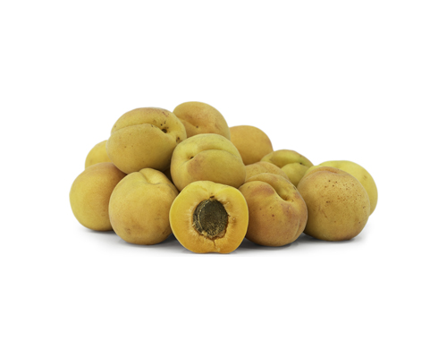 Blenheim Apricots