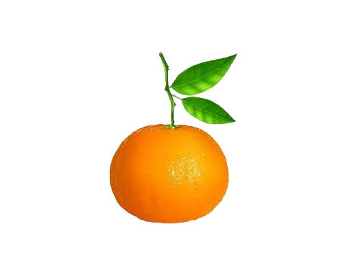 Clementine Cheer