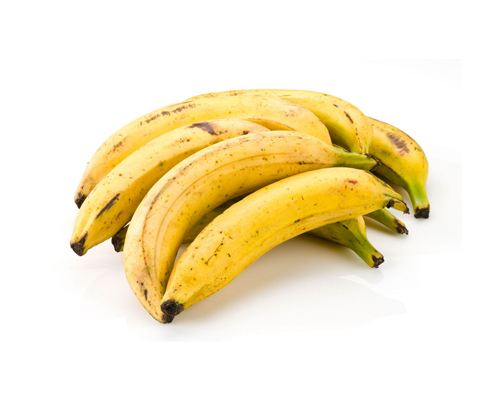Plantain Paradise
